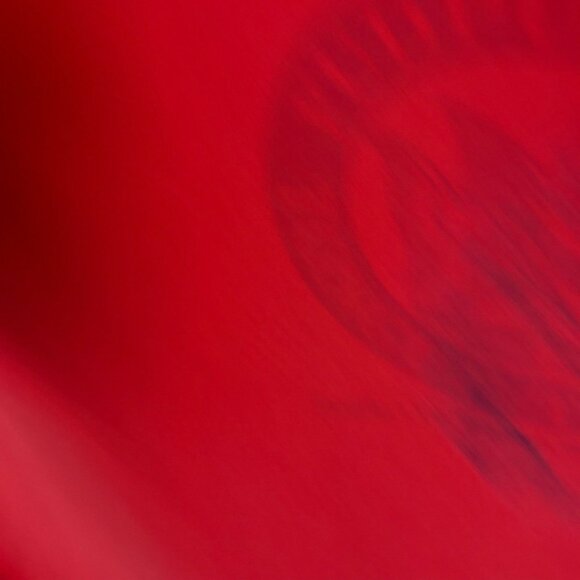 Fudpucker Tongue Twister T Shirt Vintage 90s Adult Red Small S Graphic Tee Solid - Picture 10 of 16